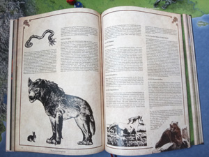Der Screenshot aus dem Buch gibt einen visuellen Einblick in die Tierwelt und das Bestiarium im Belegornland.