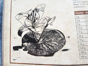 Die Illustration für das Pen-and-Paper zeigt eine Heilpflanze: die Ivlislie, die in der Region um den gleichnamigen Fluss wächst.
