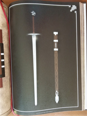 Die Grafik aus dem Pen-and-Paper Buch zeigt das Schwert des Paladins und eine kostbare Schwertscheide.